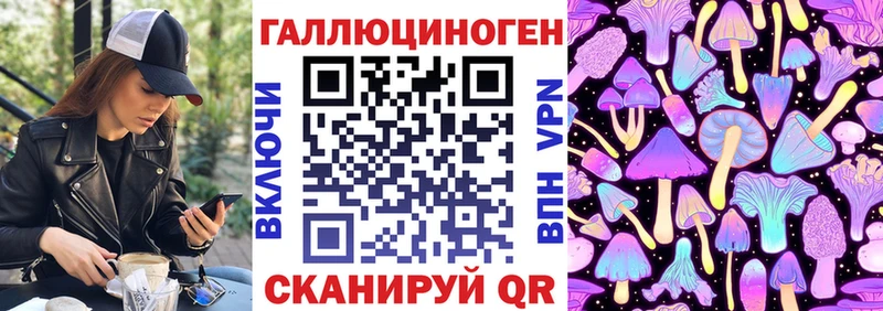 Купить закладки  Амурск  Галлюциногенные грибы мицелий 